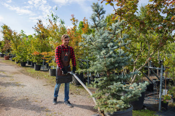 Best Tree Risk Assessment  in Etowah, TN